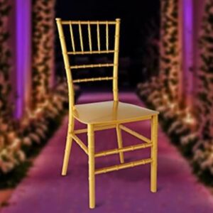 Plastic Moulded Chair Without Arm Rest