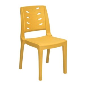 Plastic Moulded Chair without Arm Rest