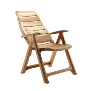 Plastic Moulded Chair With Arm Rest – Foldable & Adjustable Backrest
