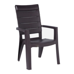 Plastic Moulded Chair With Arm Rest