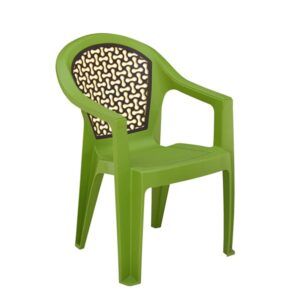 Plastic Moulded Chair with Arm Rest