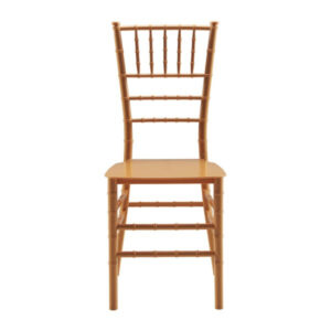 Plastic Moulded Chair Without Arm Rest