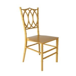 Plastic Moulded Chair Without Arm Rest