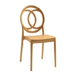 Plastic Moulded Chair Without Arm Rest