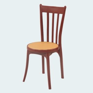 Plastic Moulded Chair Without Arm Rest