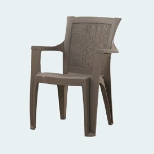 Plastic Moulded Chair With Arm Rest