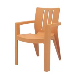 Plastic Moulded Chair With Arm Rest