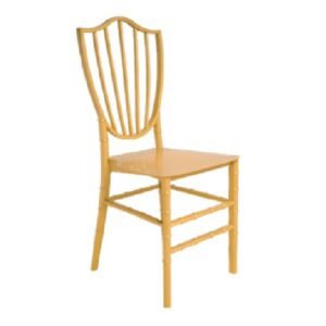 Plastic Moulded Chair Without Arm Rest