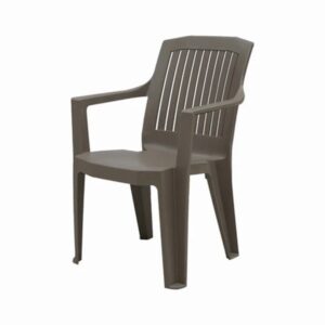 Plastic Moulded Chair With Arm Rest